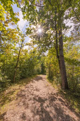 Weg um den Lago, Badesee Simbach, Waldsee, Rottal-Inn