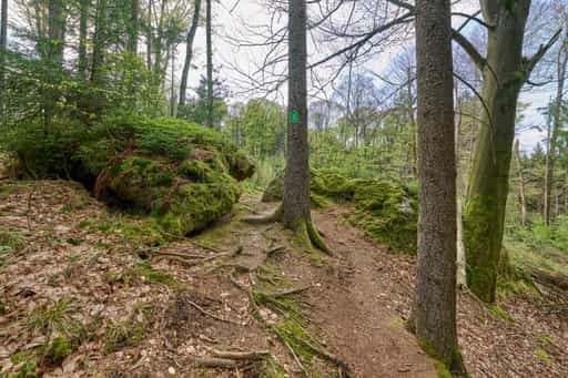 Weg zum Kultstein, Bad Griesbach, Passau
