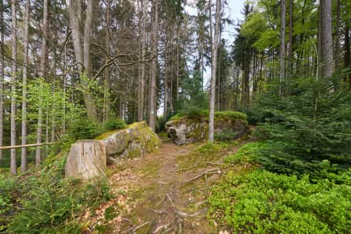 Weg zum Kultstein, St. Salvator, Bad Griesbach