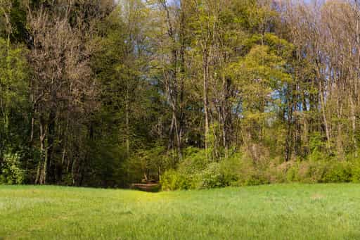 Weg zum Mühlbach, Garching, Altötting, Oberbayern
