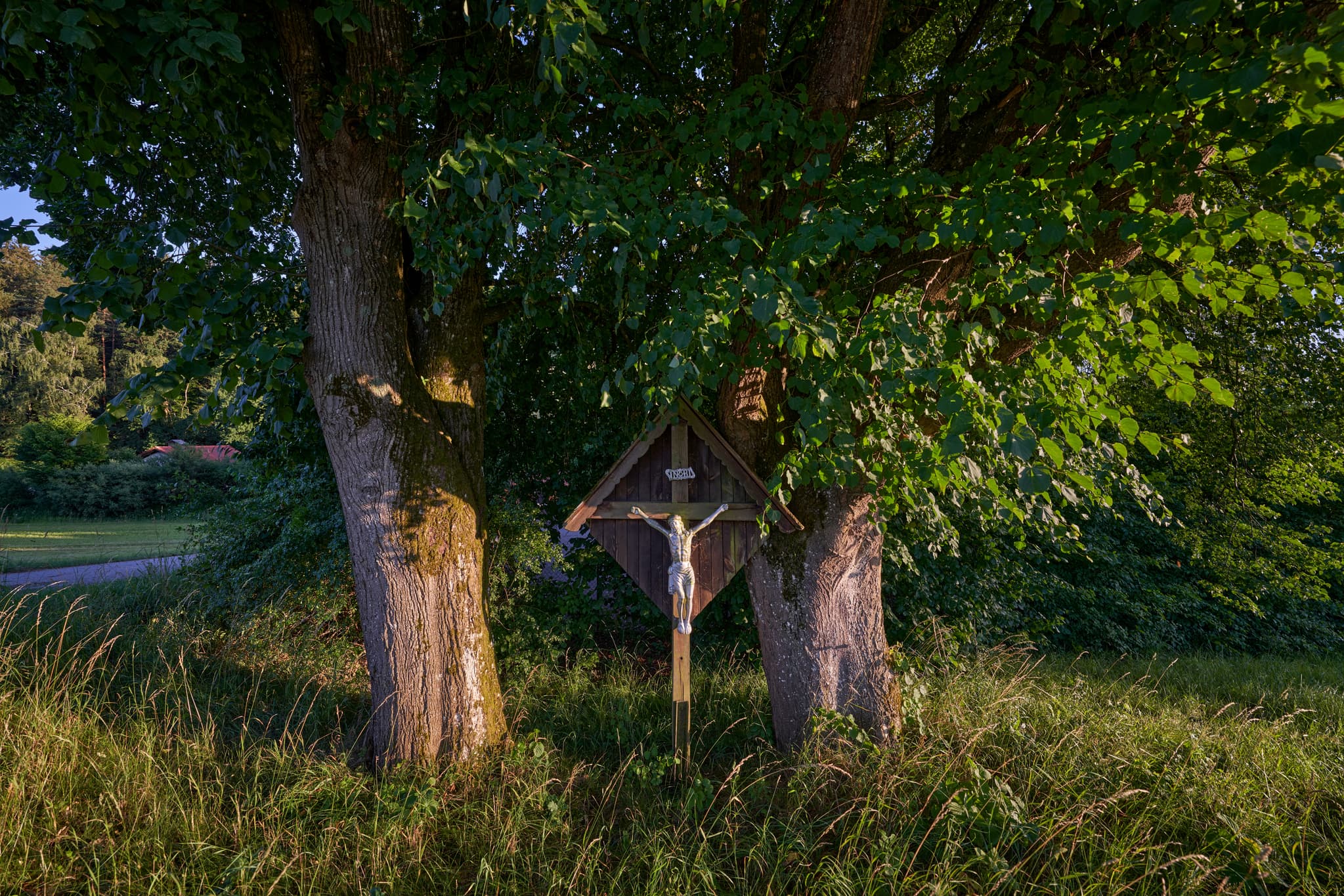 Wegkreuz am Wertstoffhof, Erlbach, Landkreis Altötting - Wegkreuz, das zwischen zwei Bäumen an einem Wertstoffhof in Erlbach, Landkreis Altötting, Oberbayern, Region Inn-Salzach, Deutschland steht.