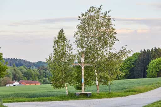 Wegkreuz zwischen Golfplatz und Georgenberg, Pleiskirchen