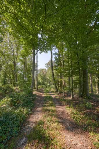 Weindlgrub nach Ofner, St.-Rupert-Pilgerweg, Altötting