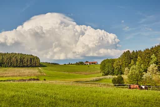 Weingarten Blick aus Arbing, Reischach, Oberbayern