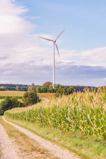 Windrad im Windpark Dirnaich, Rottal-Inn, Niederbayern