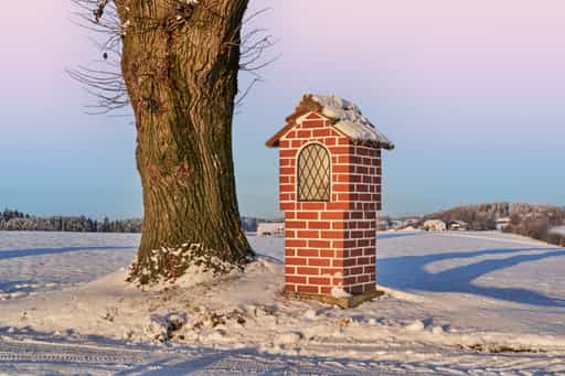 Winter Bildstock, Wald bei Winhöring, Altötting