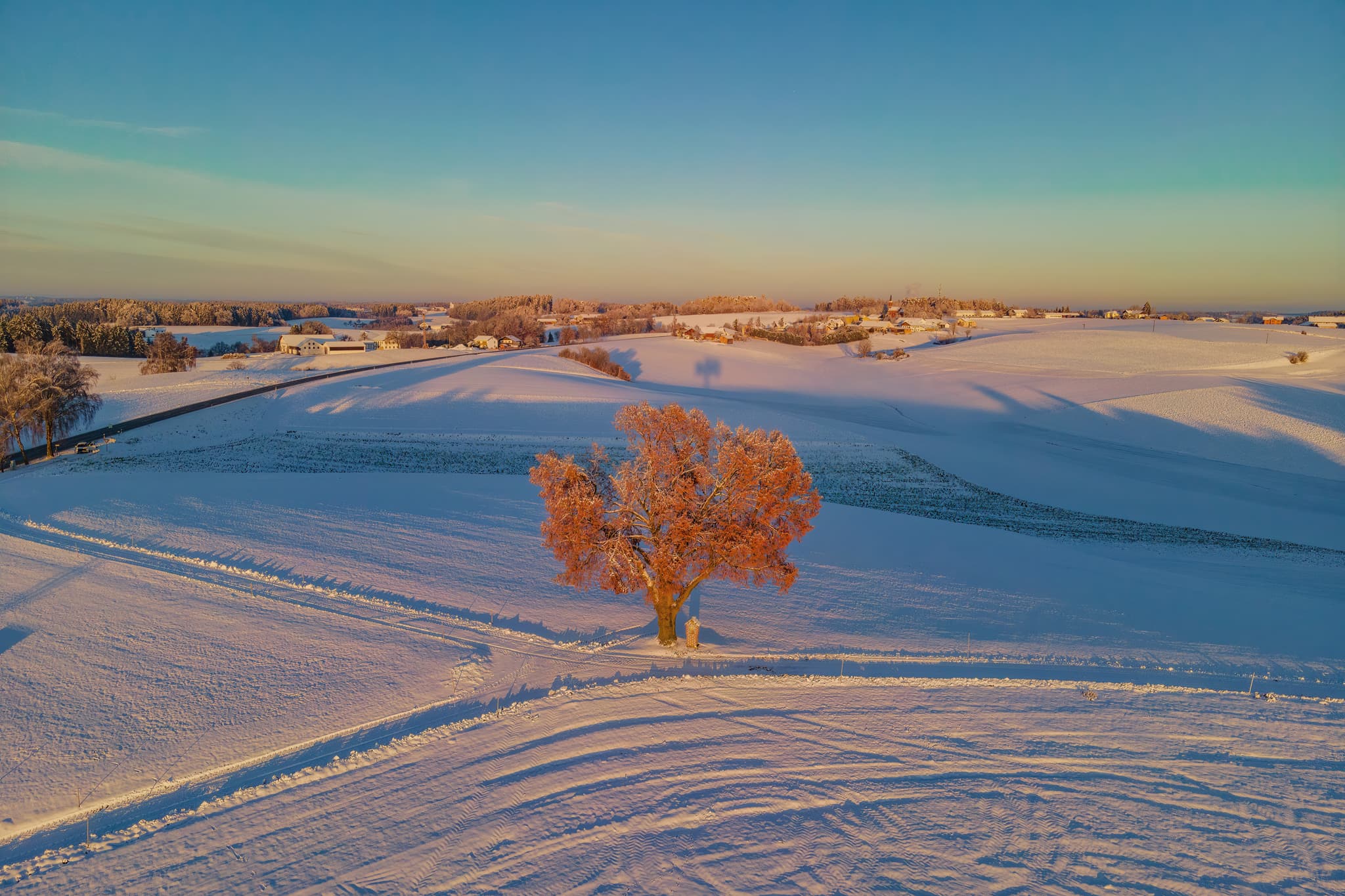 Winter in Wald bei Winhöring, Altötting, Oberbayern - Winterlandschaft bei Wald bei Winhöring, Ortsteil von Pleiskirchen, Landkreis Altötting, Oberbayern, Inn-Salzach, Deutschland. Verschneiter Baum im Sonnenlicht.