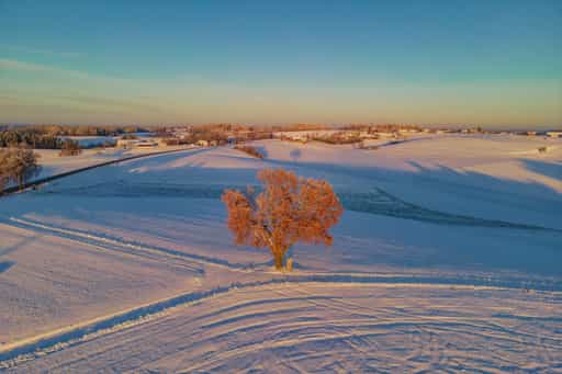 Winter in Wald bei Winhöring, Altötting, Oberbayern