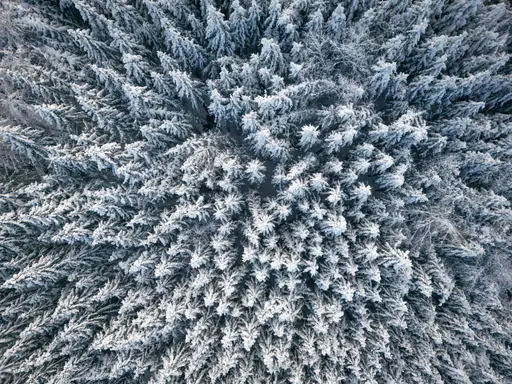 Winter Luftbild Wald, Erlbach, AÖ, Oberbayern, Inn-Salzach