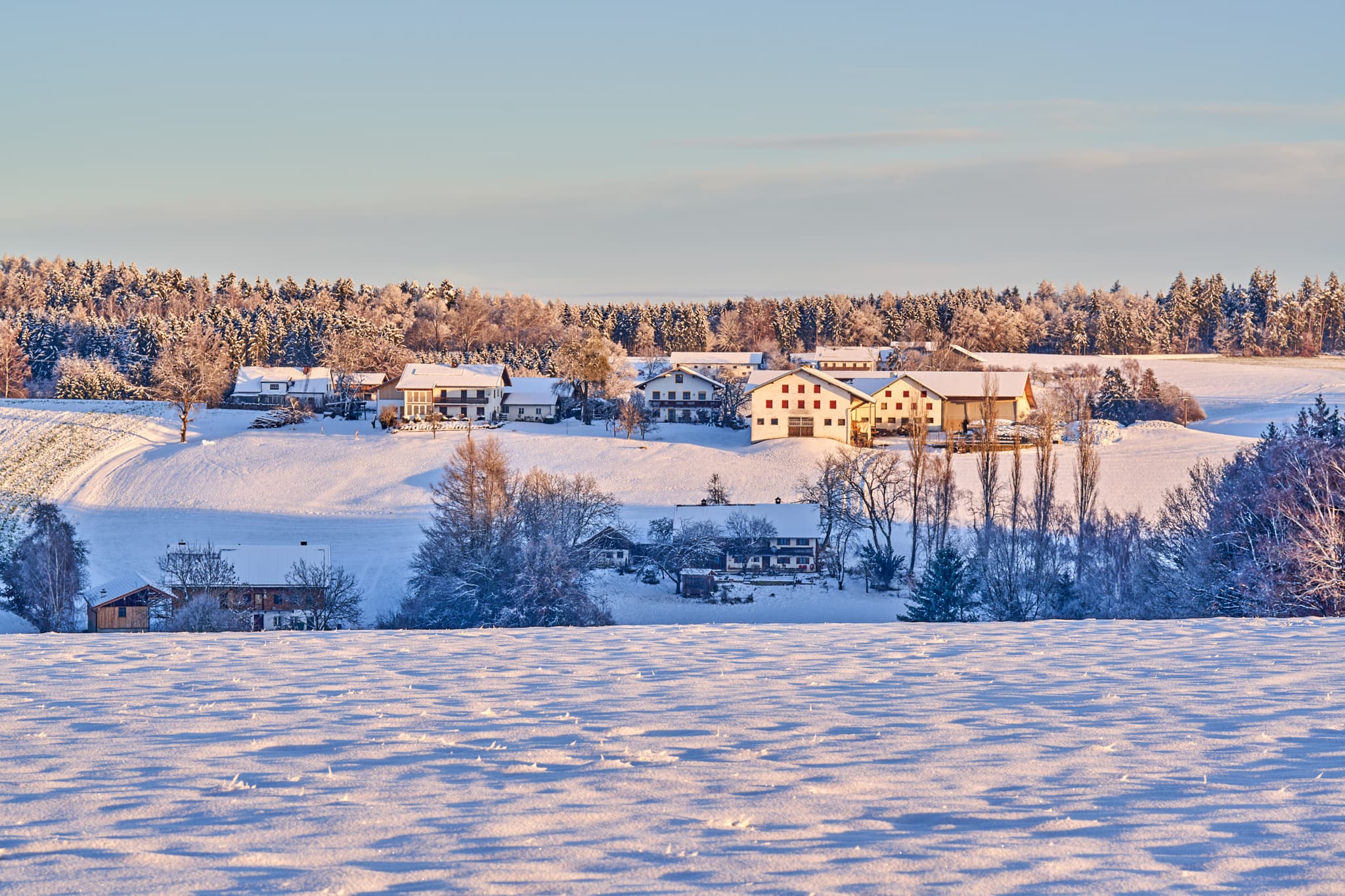 Winter, Wald bei Winhöring Näglstall, Altötting - Verschneite Winterlandschaft zeigt Gehöfte im Holzland von Wald bei Winhöring, Näglstall in Pleiskirchen, Altötting, Oberbayern, Inn-Salzach, Deutschland.