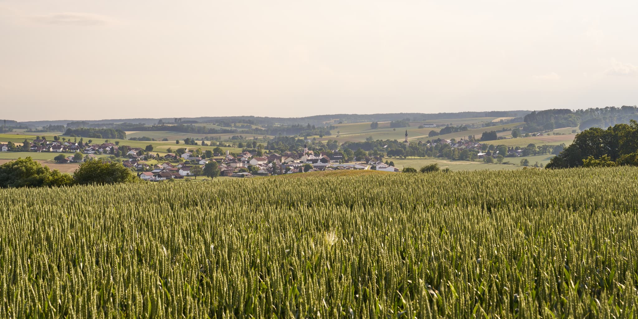 Zell St. Koloman-Kapelle, Ortenburg, Passau, Donau-Wald - Idyllische Landschaft mit weitläufigem Weizenfeld und einem Dorf im Hintergrund, aufgenommen nahe Ortenburg im Landkreis Passau, Niederbayern, Donau-Wald.