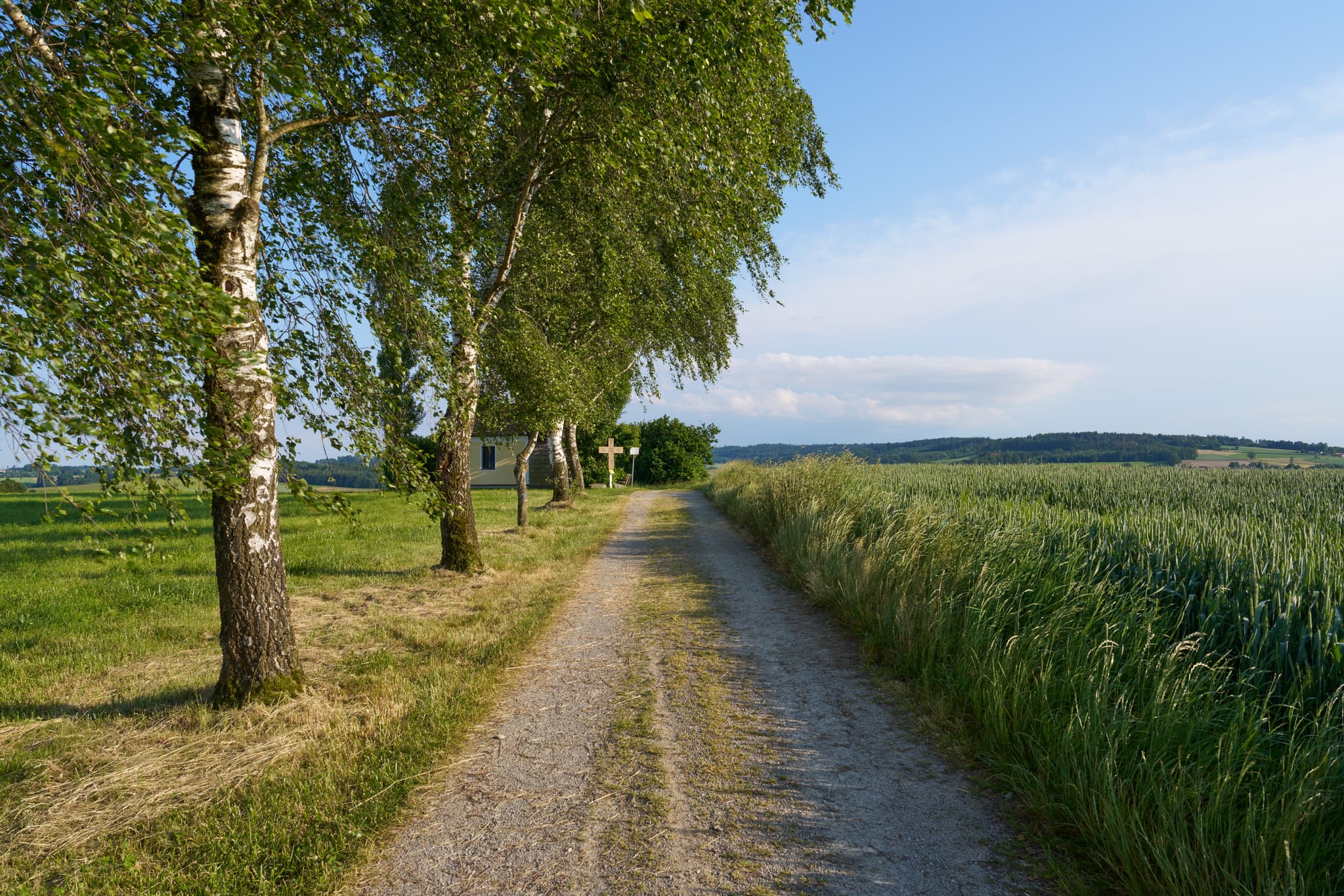 Zufahrt St. Koloman-Kapelle, Zell, Passau - Zufahrt zur idyllischen St. Koloman-Kapelle bei Zell, Ortenburg, im Landkreis Passau, Niederbayern. Diese malerische Szene in der Region Donau-Wald.
